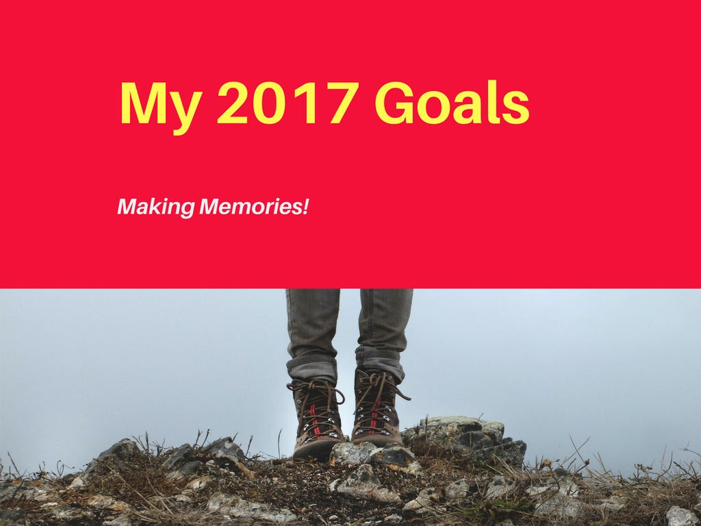 My 2017 Goals