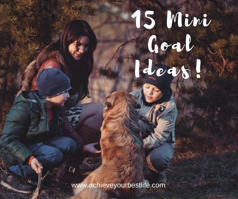 mini goal ideas